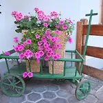 Haus Dahoam Appartamento