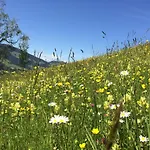 Appartamento Haus Dahoam Alpbach