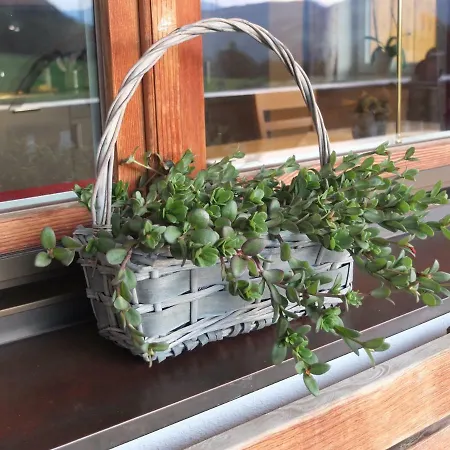 Haus Dahoam Apartamento *