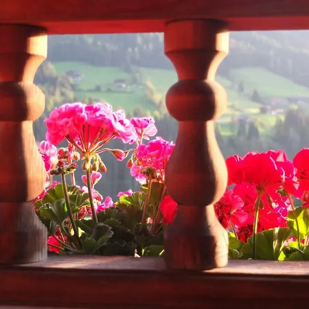 Apartment Apartment Haus Dahoam *