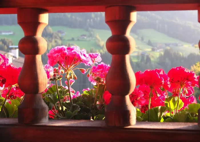 아파트 Haus Dahoam *