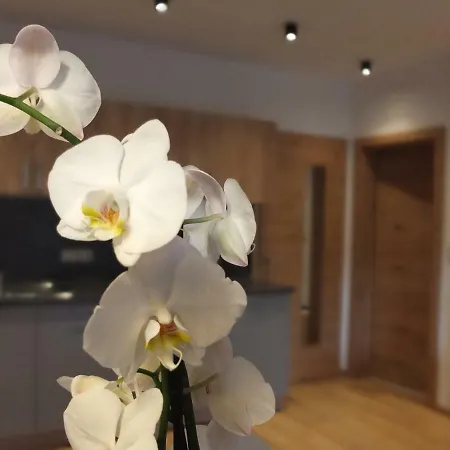 Apartment Haus Dahoam *