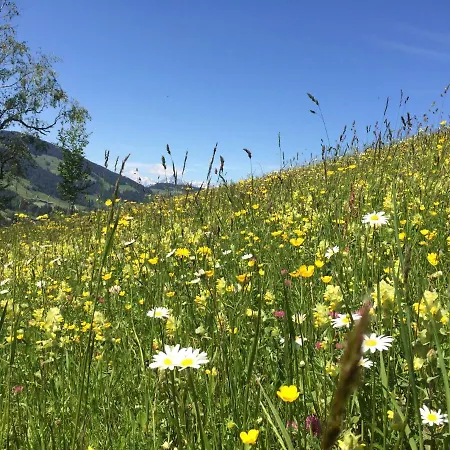 Daire Haus Dahoam Alpbach